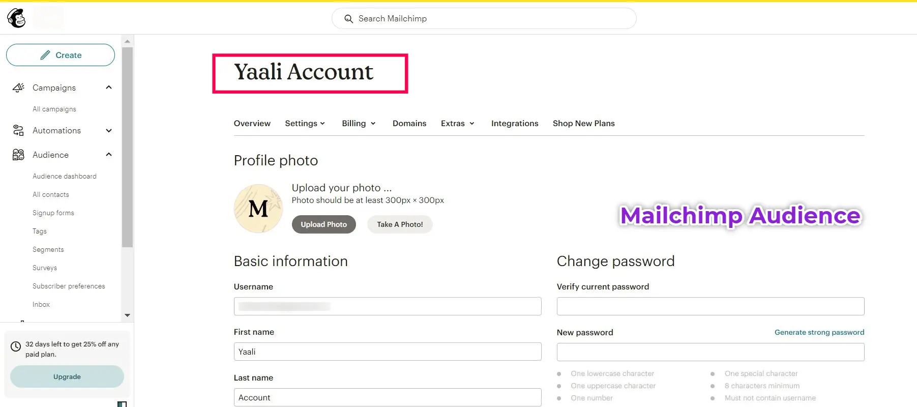Mailchimp Audience Details