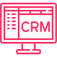 crm development icon