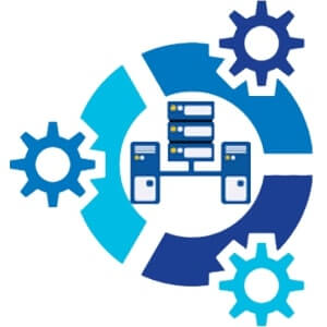 Domain Expertise